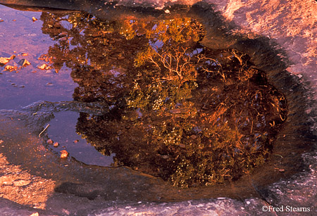 Colorado National Monument Reflections